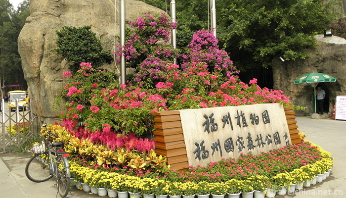 fuzhou-national-forest-park-10
