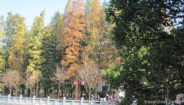 fuzhou-national-forest-park-9
