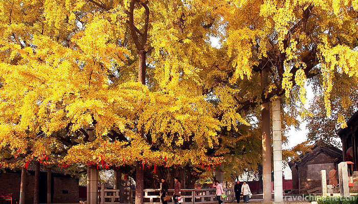 Fulaishan-Scenic-Area-4