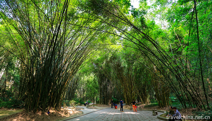fuzhou-national-forest-park-4
