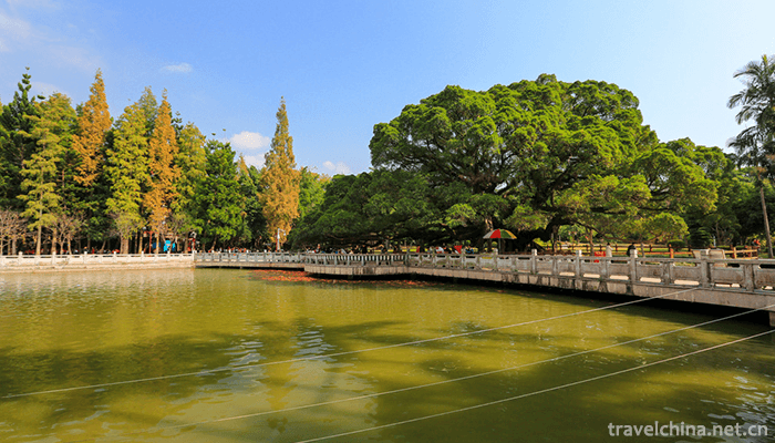 fuzhou-national-forest-park-3