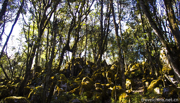 Gesara-Ecotourism-Scenic-Area-2