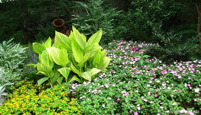 Guyi-Garden-6