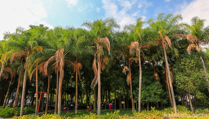 fuzhou-national-forest-park-7