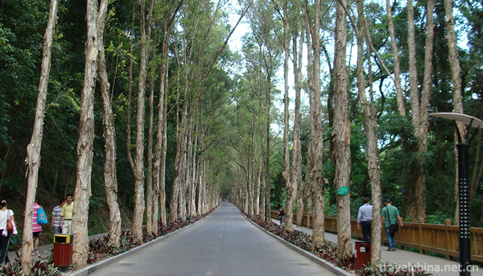 fuzhou-national-forest-park-14