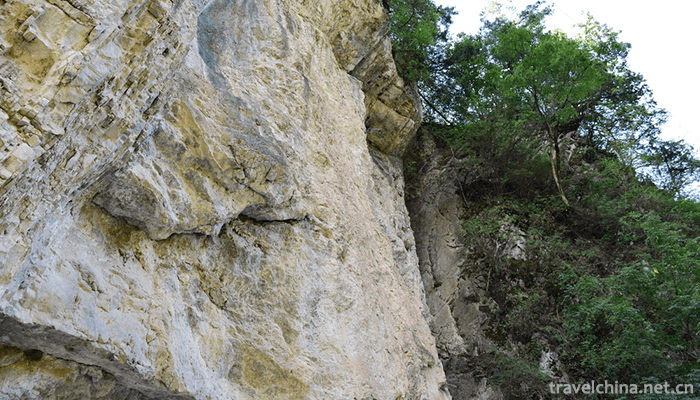 Guangegou-National-Forest-Park-11