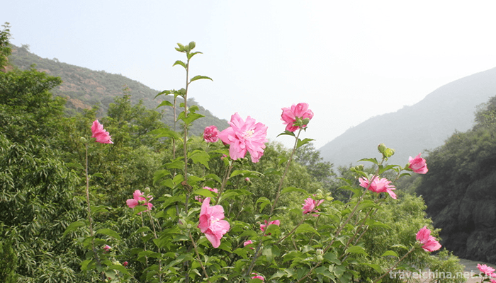 Hepeishan-National-Forest-Park-3