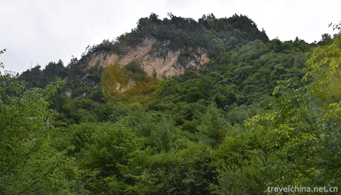 Guangegou-National-Forest-Park-9