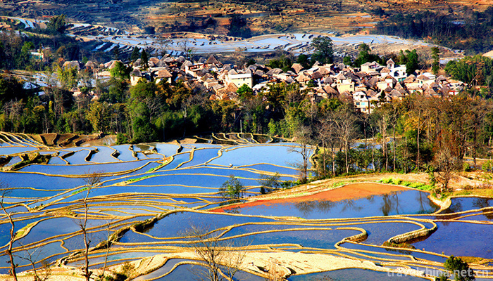 Hani-terrace-Yuanyang-terrace-11