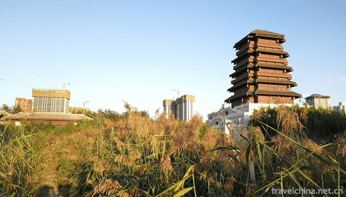 Seoul-Lake-Park-3
