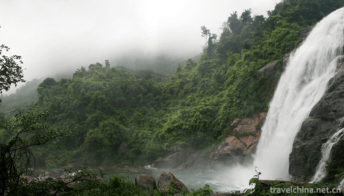 Guanyin-Mountain-National-Forest-Park,-Guangdong-3