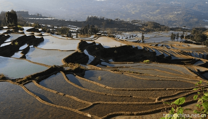 Hani-terrace-Yuanyang-terrace-36