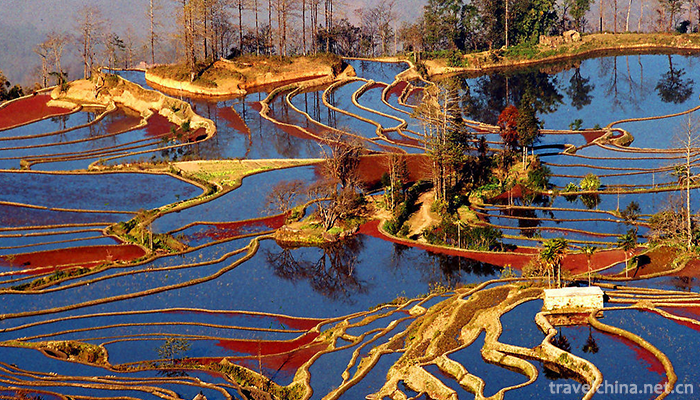 Hani-terrace-Yuanyang-terrace-25