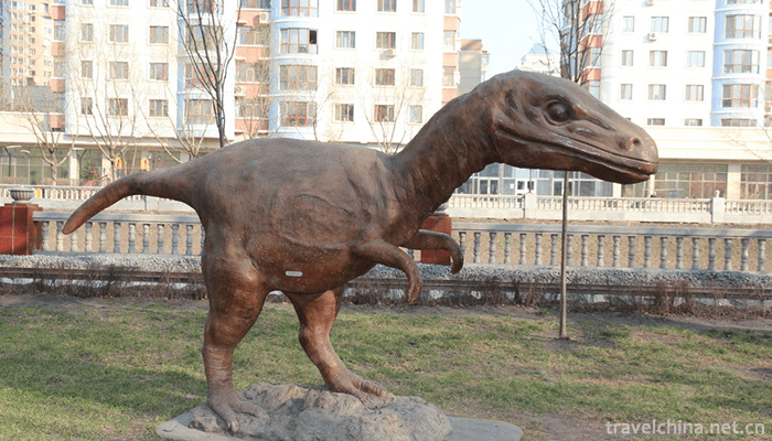 Harbin-Amusement-Park-3