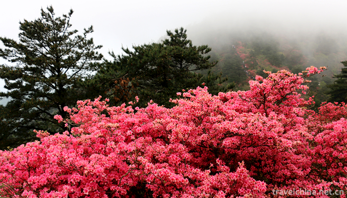 Turtle-peak-Scenic-Area-4