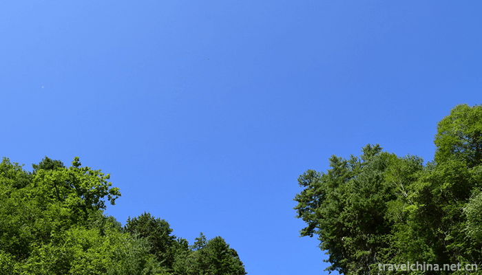 Guangegou-National-Forest-Park-1