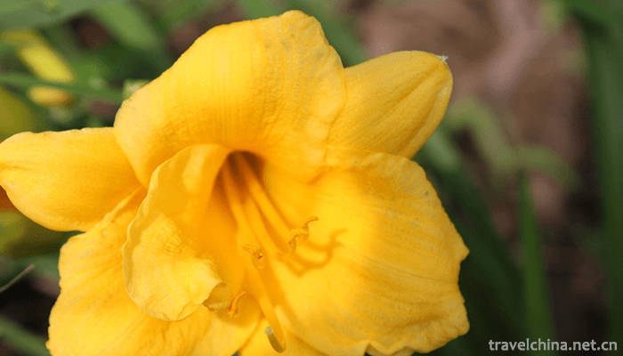 Hainan-Tropical-Wildlife-Park-and-Botanical-Garden-4