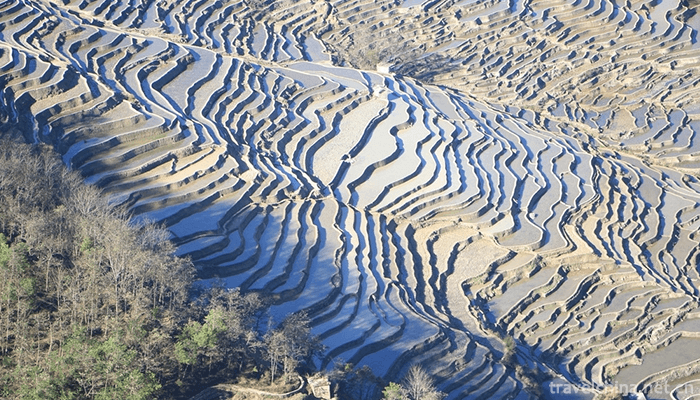 Hani-terrace-Yuanyang-terrace-31
