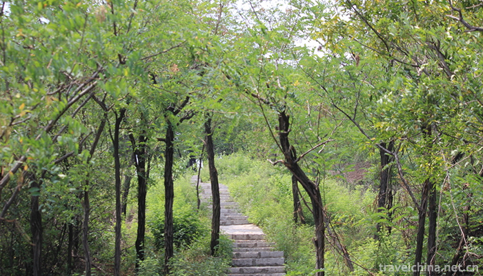 Hepeishan-National-Forest-Park-2