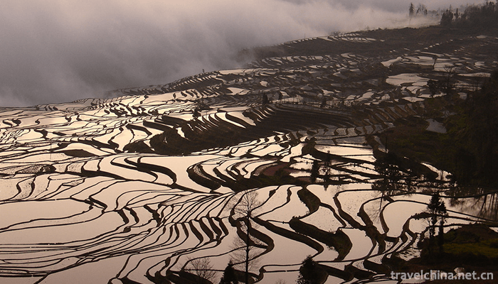Hani-terrace-Yuanyang-terrace-29