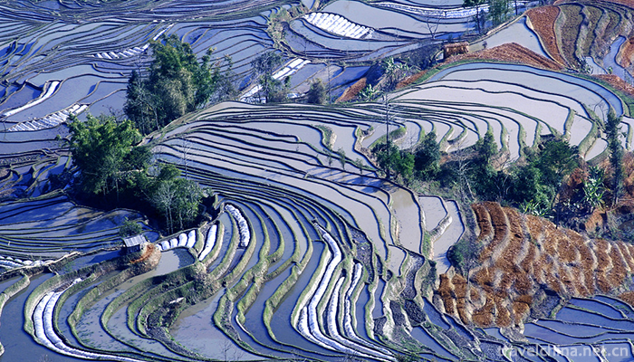 Hani-terrace-Yuanyang-terrace-17
