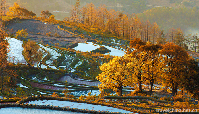 Hani-terrace-Yuanyang-terrace-24