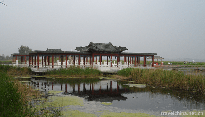 Zhalong-Nature-Reserve-6