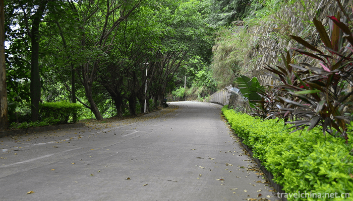 Guanyin-Mountain-National-Forest-Park,-Guangdong-2