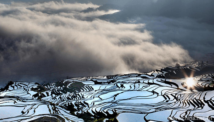 Hani-terrace-Yuanyang-terrace-12