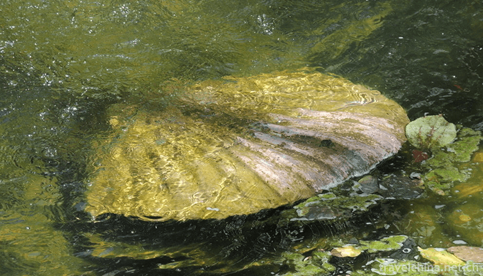 Hainan-Tropical-Wildlife-Park-and-Botanical-Garden-1