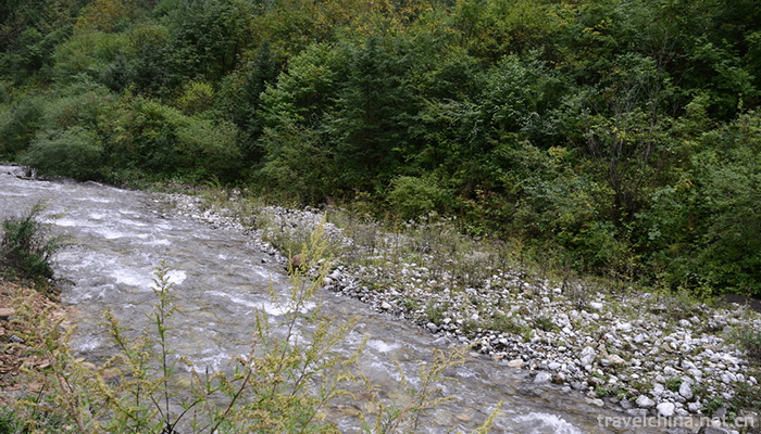 Guangegou-National-Forest-Park-8