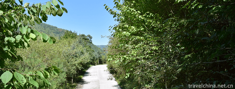 Guangegou National Forest Park 