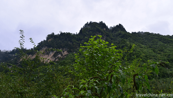 Guangegou-National-Forest-Park-10