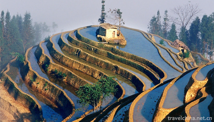 Hani-terrace-Yuanyang-terrace-34