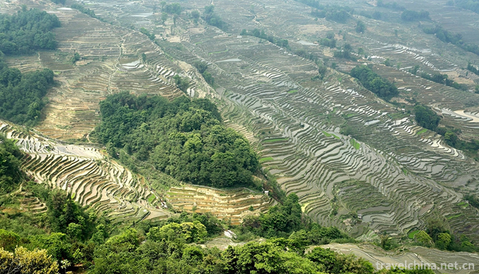 Hani-terrace-Yuanyang-terrace-38