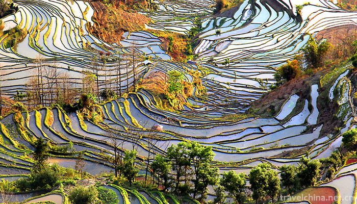 Hani-terrace-Yuanyang-terrace-8