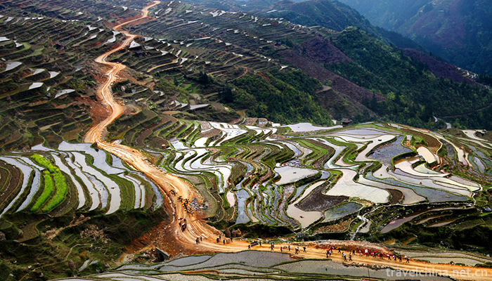 Hani-terrace-Yuanyang-terrace-28