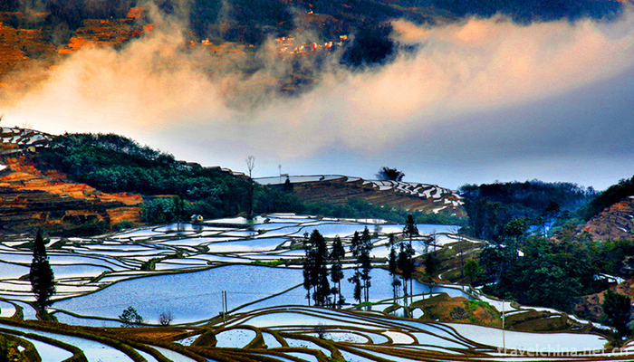 Hani-terrace-Yuanyang-terrace-10