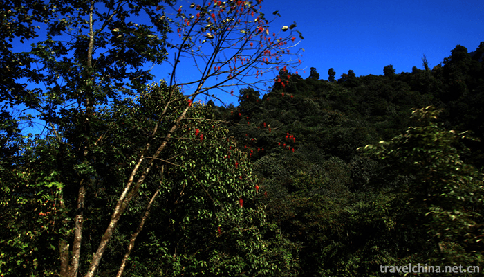 Heizhugou-Scenic-Area-1