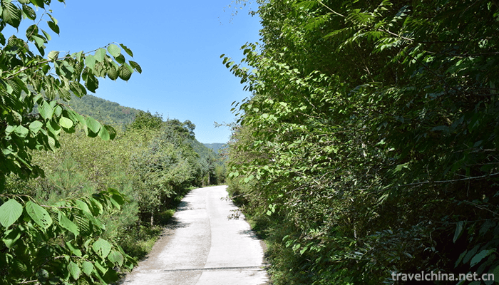 Guangegou-National-Forest-Park-2