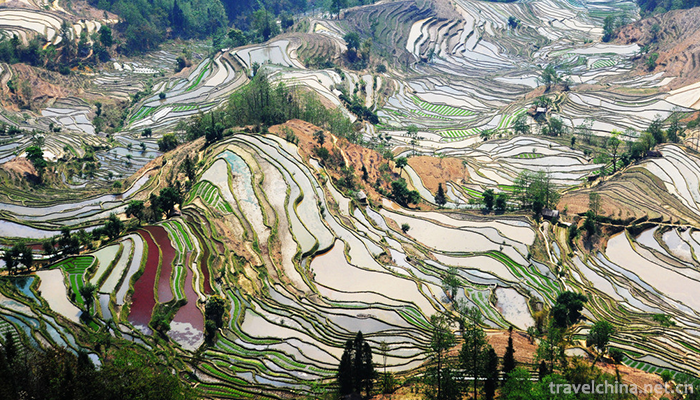 Hani-terrace-Yuanyang-terrace-18