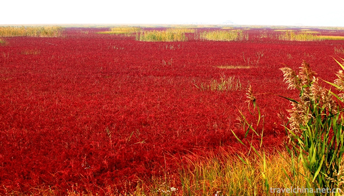 Red-Beach-Scenic-Area-7