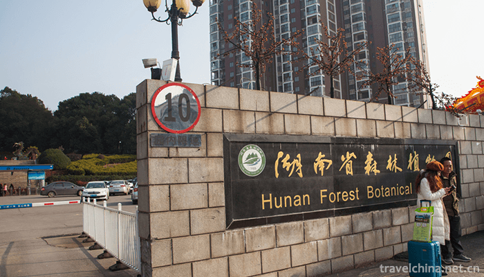 Hunan-Forest-Botanical-Garden-1