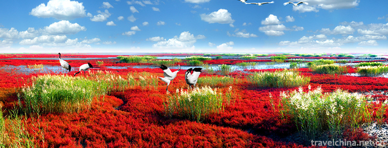 Red Beach Scenic Area 