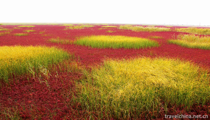 Red-Beach-Scenic-Area-10