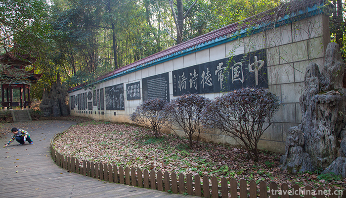 Hunan-Forest-Botanical-Garden-5