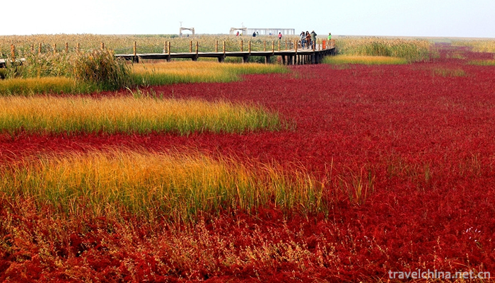 Red-Beach-Scenic-Area-5