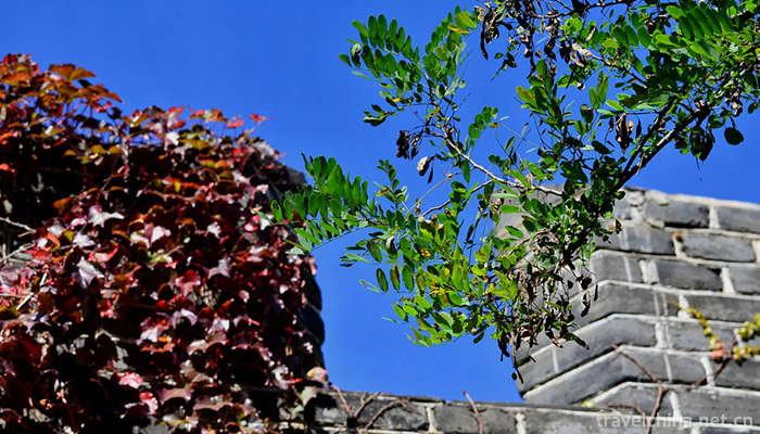 Hushan-Great-Wall-4