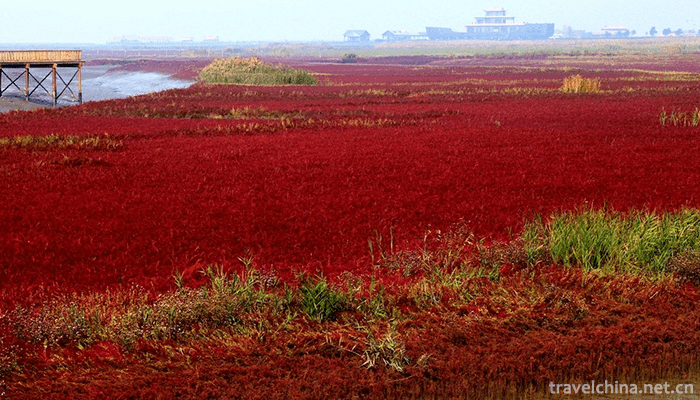 Red-Beach-Scenic-Area-4