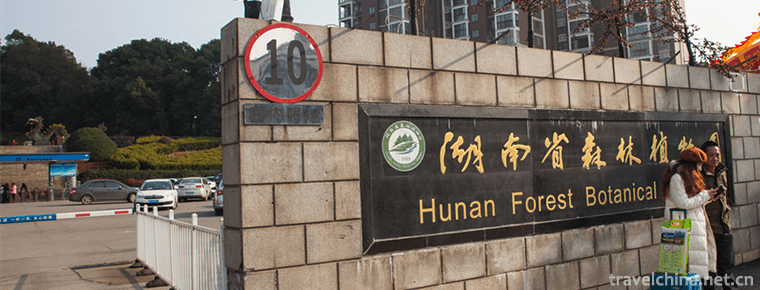 Hunan Forest Botanical Garden 
